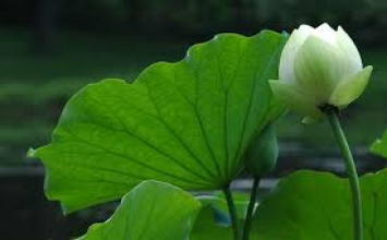 Nhìn lại mình